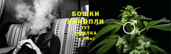 соль ск Бородино