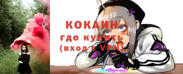 соль ск Бородино